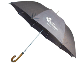 Parapluie de luxe automatique